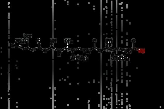 Boc-N-Me-Val-Val CAS 863781-44-6 Boc-Peptid-Zwischenprodukt N-methyl-Aminosäure-Derivat